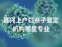 嘉兴上户口亲子鉴定机构哪里专业