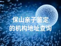 保山亲子鉴定的机构地址查询