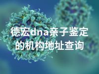 德宏dna亲子鉴定的机构地址查询