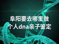 阜阳要去哪里做个人dna亲子鉴定