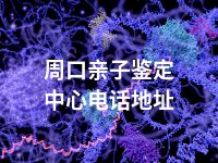 周口亲子鉴定中心电话地址