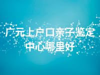 广元上户口亲子鉴定中心哪里好