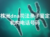株洲dna司法亲子鉴定机构电话号码