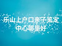 乐山上户口亲子鉴定中心哪里好