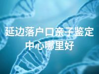 延边落户口亲子鉴定中心哪里好