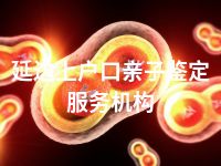 延边上户口亲子鉴定服务机构