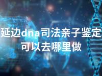 延边dna司法亲子鉴定可以去哪里做