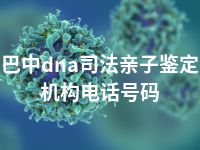 巴中dna司法亲子鉴定机构电话号码