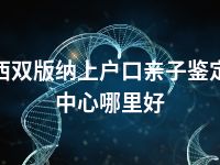 西双版纳上户口亲子鉴定中心哪里好