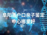 阜阳落户口亲子鉴定中心哪里好