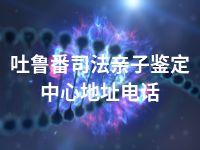 吐鲁番司法亲子鉴定中心地址电话