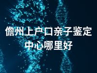 儋州上户口亲子鉴定中心哪里好