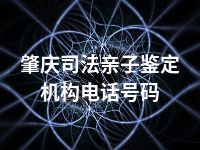 肇庆司法亲子鉴定机构电话号码