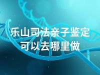 乐山司法亲子鉴定可以去哪里做