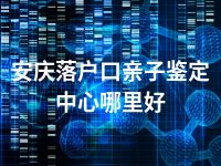 安庆落户口亲子鉴定中心哪里好