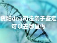 资阳dna司法亲子鉴定可以去哪里做