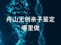 舟山无创亲子鉴定哪里做