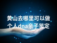 黄山去哪里可以做个人dna亲子鉴定