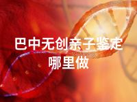 巴中无创亲子鉴定哪里做