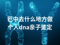 巴中去什么地方做个人dna亲子鉴定