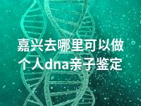 嘉兴去哪里可以做个人dna亲子鉴定