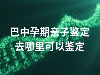 巴中孕期亲子鉴定去哪里可以鉴定