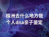 株洲去什么地方做个人dna亲子鉴定