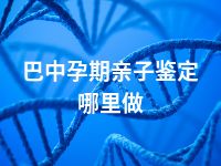 巴中孕期亲子鉴定哪里做