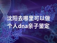 沈阳去哪里可以做个人dna亲子鉴定