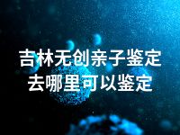 吉林无创亲子鉴定去哪里可以鉴定