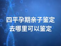 四平孕期亲子鉴定去哪里可以鉴定