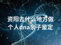 资阳去什么地方做个人dna亲子鉴定