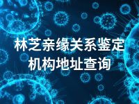 林芝亲缘关系鉴定机构地址查询