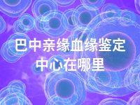 巴中亲缘血缘鉴定中心在哪里