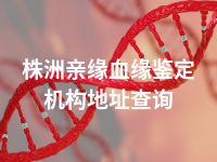 株洲亲缘血缘鉴定机构地址查询
