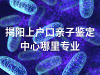 揭阳上户口亲子鉴定中心哪里专业