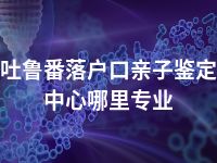 吐鲁番落户口亲子鉴定中心哪里专业