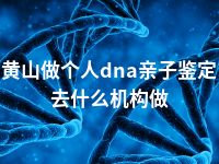 黄山做个人dna亲子鉴定去什么机构做