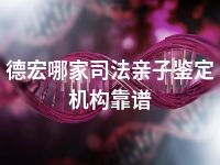 德宏哪家司法亲子鉴定机构靠谱