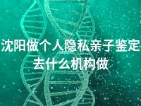 沈阳做个人隐私亲子鉴定去什么机构做