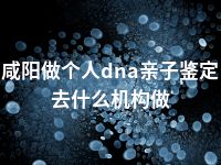 咸阳做个人dna亲子鉴定去什么机构做