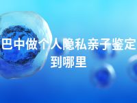 巴中做个人隐私亲子鉴定到哪里