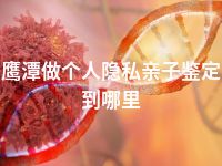 鹰潭做个人隐私亲子鉴定到哪里
