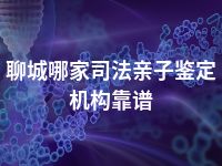 聊城哪家司法亲子鉴定机构靠谱