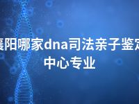 襄阳哪家dna司法亲子鉴定中心专业