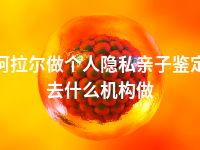 阿拉尔做个人隐私亲子鉴定去什么机构做