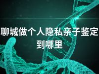 聊城做个人隐私亲子鉴定到哪里