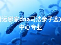 清远哪家dna司法亲子鉴定中心专业
