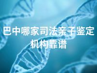 巴中哪家司法亲子鉴定机构靠谱