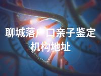 聊城落户口亲子鉴定机构地址